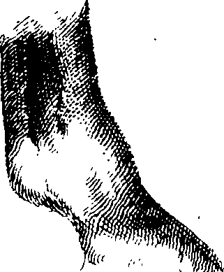 068/068950011000930_2.png