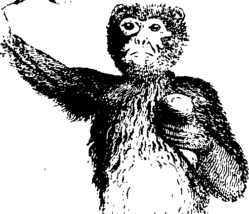 068/068950011001220_0.png