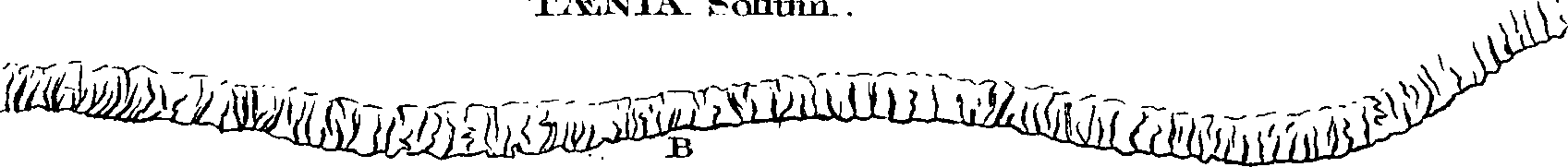 068/068950011005020_1.png