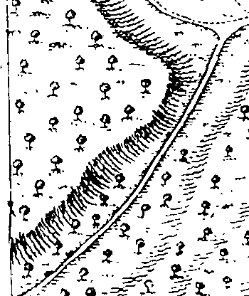 068/068950011008370_0.png