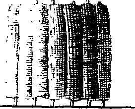 068/068950011008740_2.png