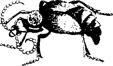 068/068950011010250_0.png