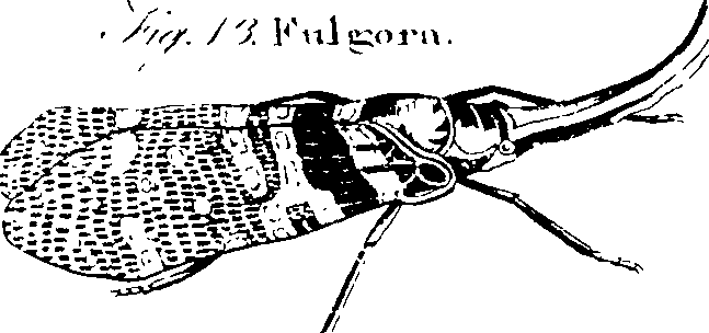 068/068950011010250_1.png