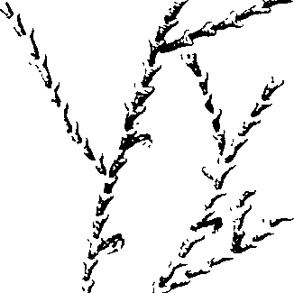 068/068950011010910_0.png