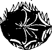 068/068950011010920_0.png
