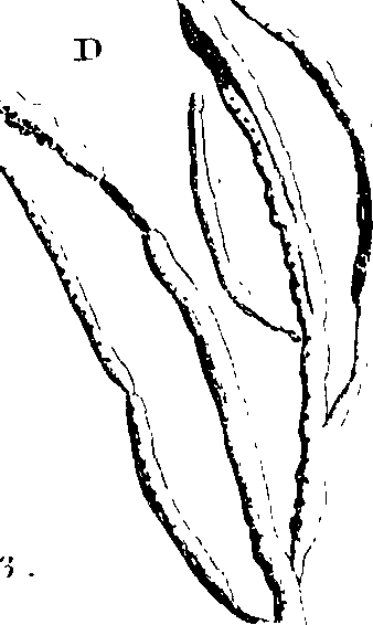 068/068950011010920_1.png