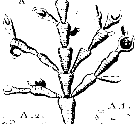 068/068950011010920_2.png