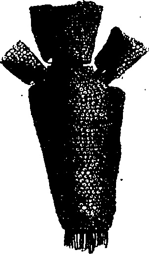 068/068950011010920_3.png