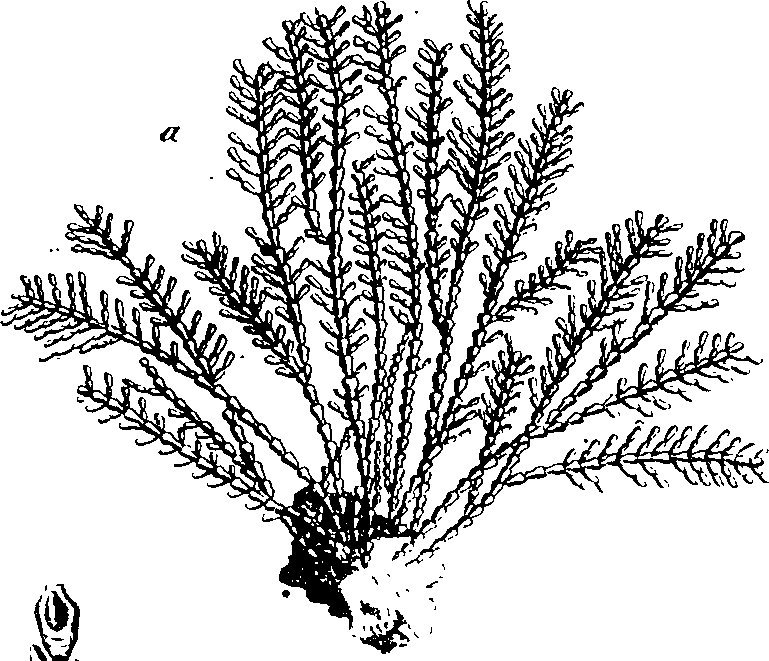 068/068950011010920_4.png