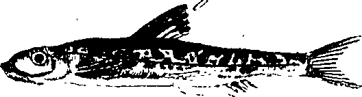 068/068950011011050_0.png
