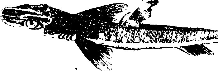 068/068950011011050_1.png