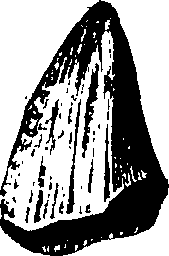 068/068950011011200_0.png