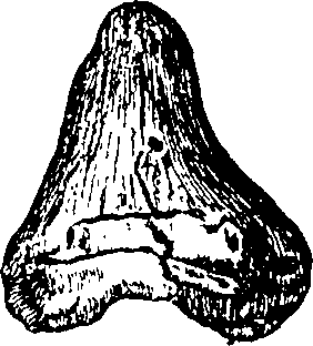 068/068950011011200_1.png