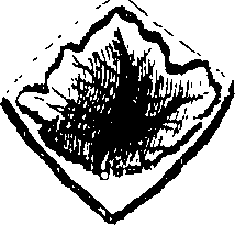 068/068950011011200_4.png