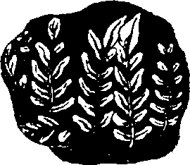 068/068950011011200_5.png