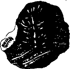 068/068950011011200_6.png