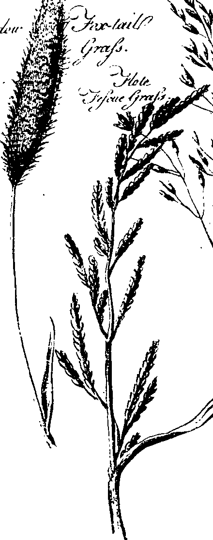 068/068950011011290_0.png