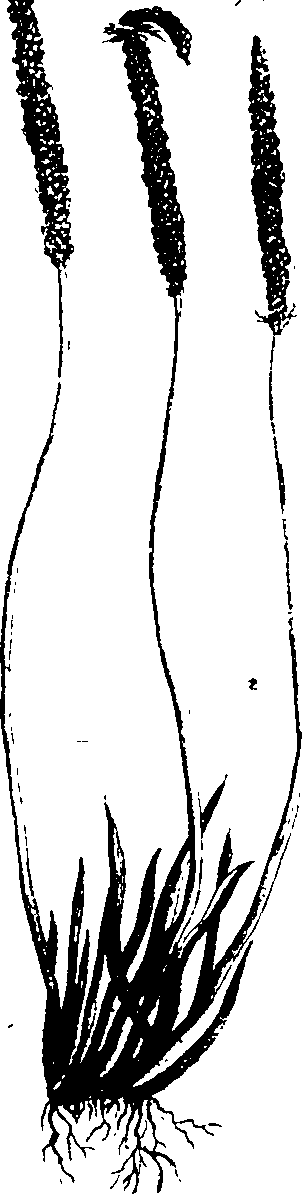068/068950011011290_1.png