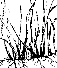 068/068950011011290_2.png
