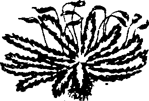 068/068950011011520_1.png