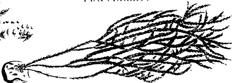 068/068950011011530_0.png