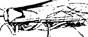 068/068950011011530_1.png