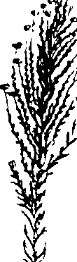 068/068950011011530_2.png