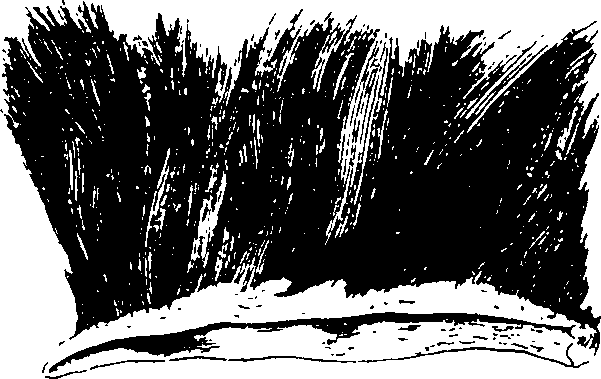 068/068950011011530_3.png