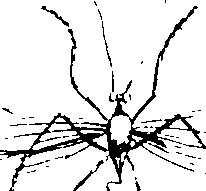 068/068950011012080_0.png