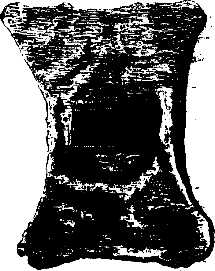 069/069020010101150_0.png