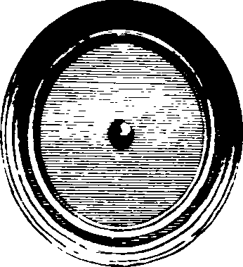 069/069020010102580_0.png