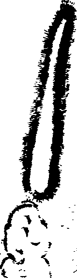 069/069020010102590_0.png