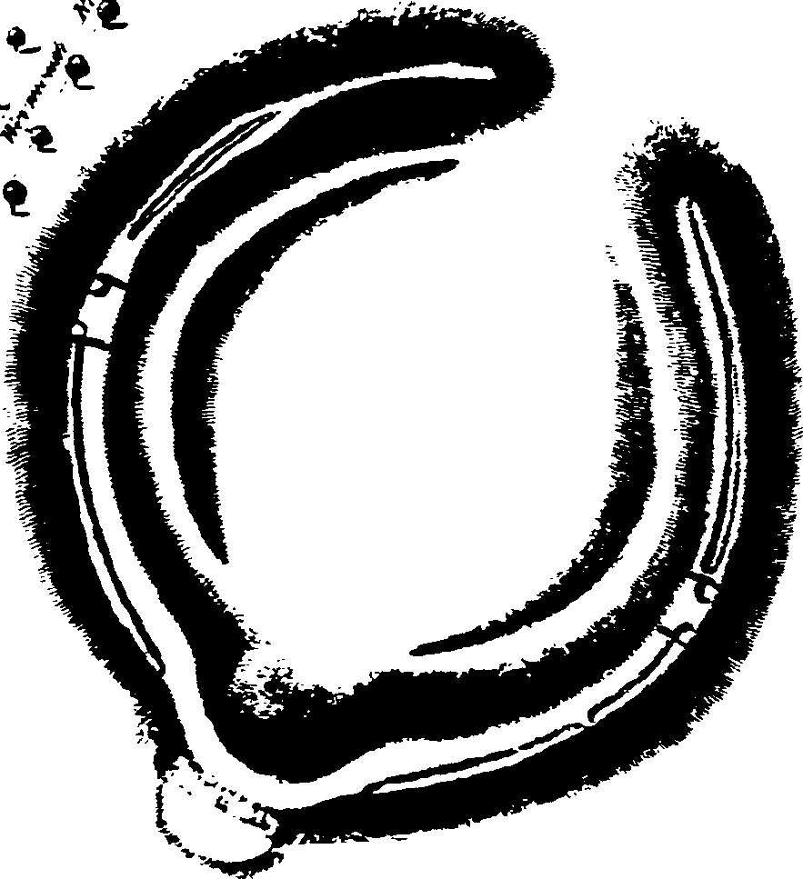 069/069020010102590_2.png