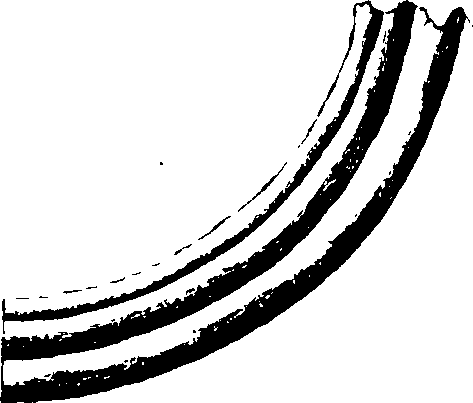 069/069020010103170_3.png