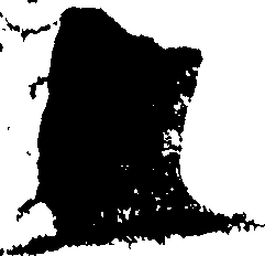 069/069020010204560_1.png