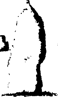 069/069020010204560_2.png