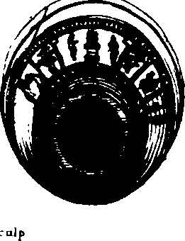 069/069020010205590_0.png