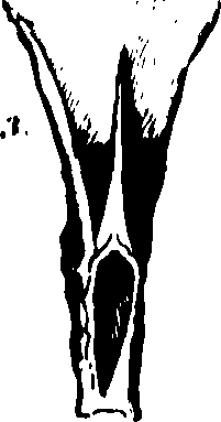 069/069020010205720_2.png
