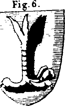 069/069020010206570_0.png