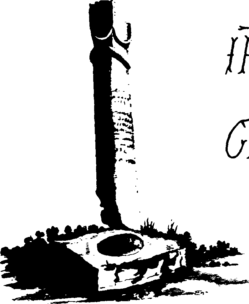 069/069020010206570_5.png