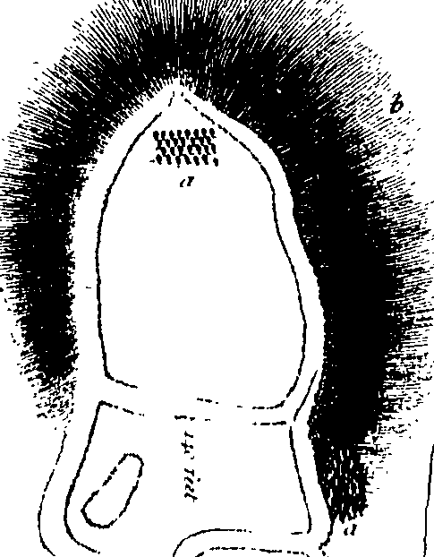 069/069030010300530_3.png
