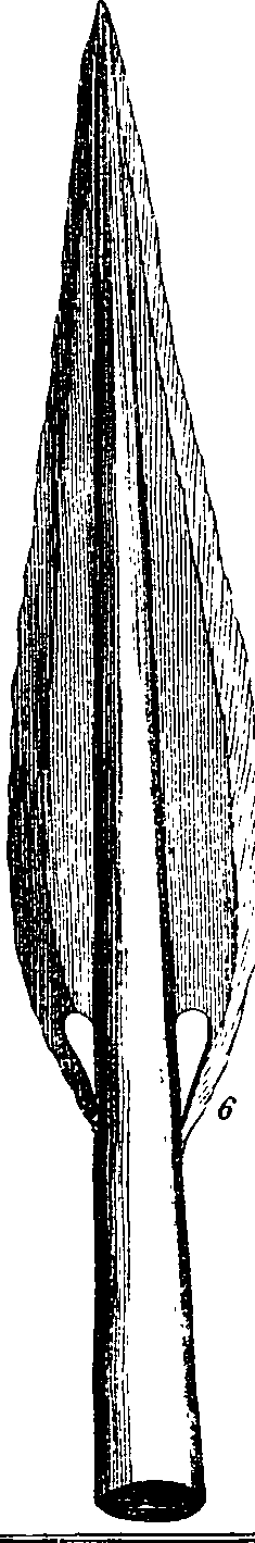 069/069030010305390_0.png