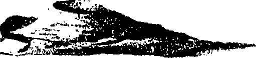 069/069030010305510_2.png