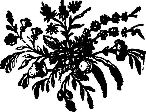 069/069140040201770_0.png