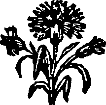 069/069140040300450_0.png