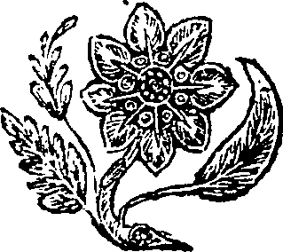 069/069170020203720_0.png