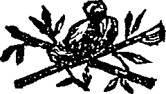 069/069180010100020_0.png