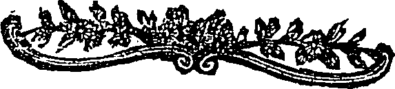 069/069180010200990_1.png