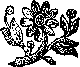 069/069240090002390_0.png