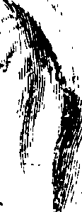 069/069260050101630_0.png